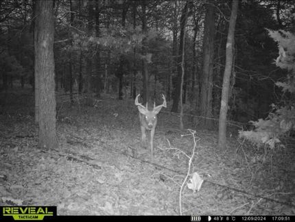 Property in Searcy County, Arkansas