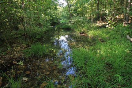 Residential Property for sale in Madison County, Missouri