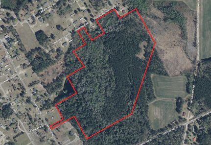 Timberland Property for sale in Dillon County, South Carolina