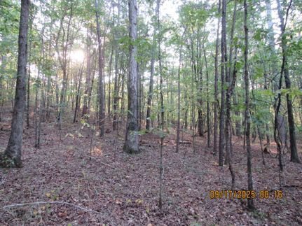 Property for sale in Cullman County, Alabama