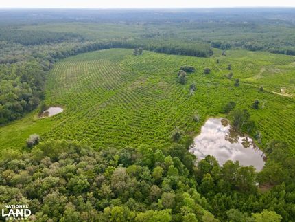 Property for sale in Greene County, Mississippi