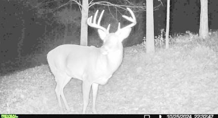 Ranch Property in Owen County, Kentucky