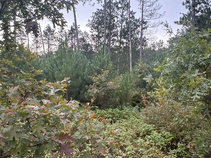 Farm Property for sale in Burnett County, Wisconsin