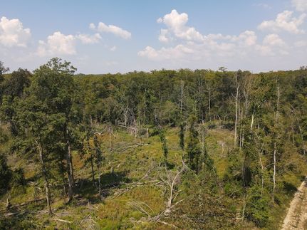 Farm Property for sale in Drew County, Arkansas