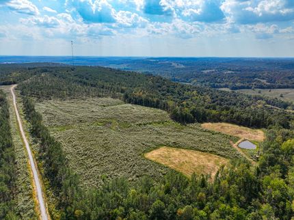 Ranch Property for sale in Livingston County, Kentucky