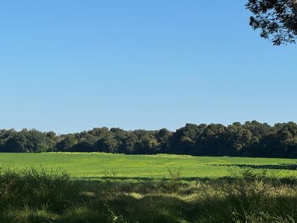 Farm Property for sale in Baker County, Georgia