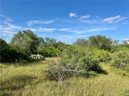 Property for sale in Bee County, Texas