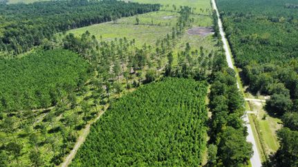 Residential Property for sale in Williamsburg County, South Carolina