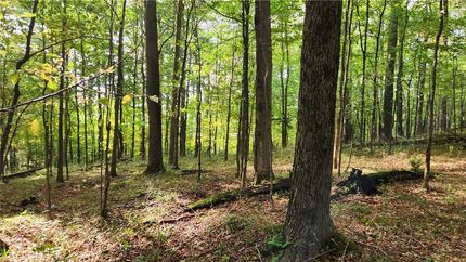 Property for sale in Cattaraugus County, New York