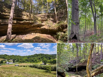 Property for sale in Meigs County, Ohio