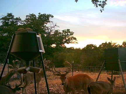 Timberland Property for sale in Edwards County, Texas