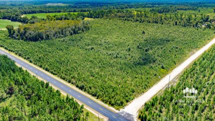 Undeveloped Land for sale in Calhoun County, Florida