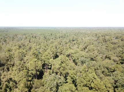 Ranch Property for sale in Angelina County, Texas