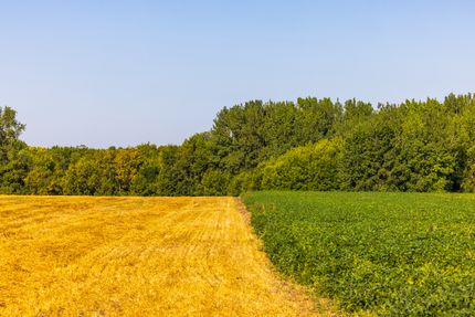 Farm Property for sale in Polk County, Minnesota
