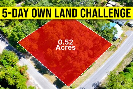 Timberland Property for sale in Bamberg County, South Carolina