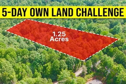 Timberland Property for sale in Gilmer County, Georgia