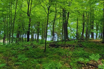 Property for sale in Crow Wing County, Minnesota