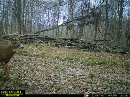 Recreational Property in Gallia County, Ohio