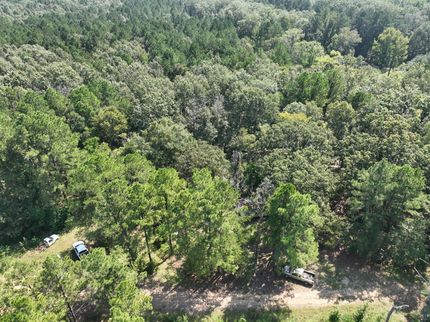 Farm Property in LaSalle Parish, Louisiana