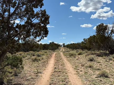 Property for sale in Apache County, Arizona