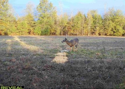 Property for sale in White County, Arkansas