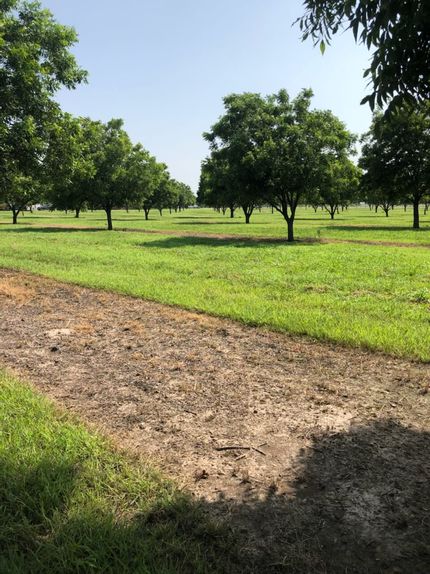 Farm Property for sale in Denton County, Texas