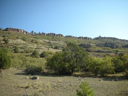 Undeveloped Land for sale in Fremont County, Colorado