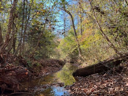 Timberland Property for sale in Elbert County, Georgia