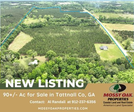 Farm Property for sale in Tattnall County, Georgia