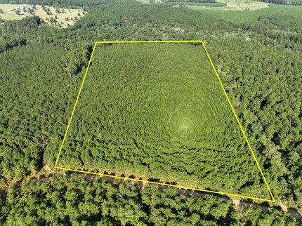 Undeveloped Land for sale in Tyler County, Texas