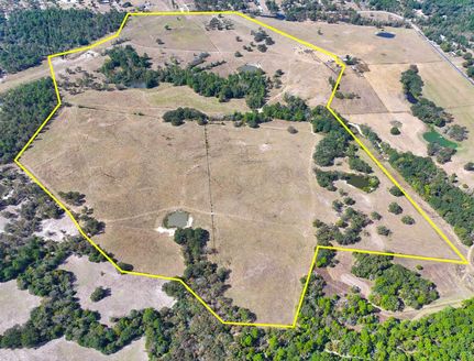 Hunting Land for sale in Walker County, Texas