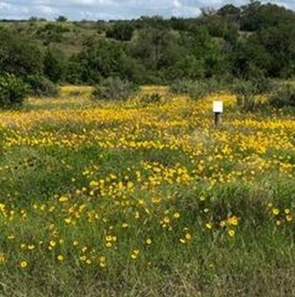 Recreational Property for sale in Blanco County, Texas