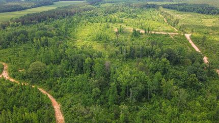 Property for sale in Webster County, Mississippi