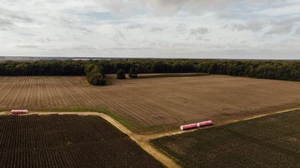 Property for sale in Coahoma County, Mississippi