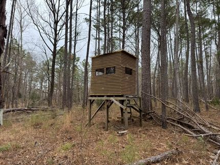 Timberland Property for sale in Benton County, Mississippi