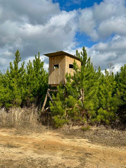 Undeveloped Land for sale in Jasper County, Mississippi