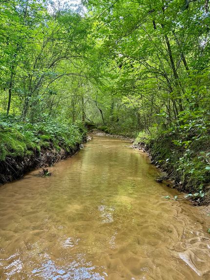 Undeveloped Land for sale in Winston County, Mississippi