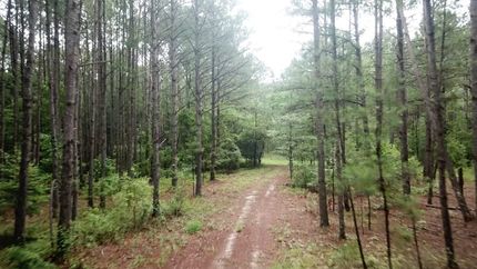 Property for sale in Bibb County, Georgia