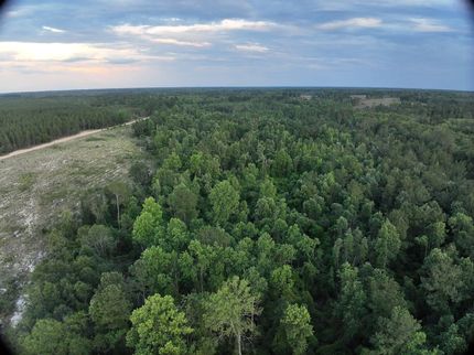 Timberland Property for sale in Emanuel County, Georgia