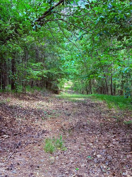 Undeveloped Land for sale in Carroll County, Mississippi