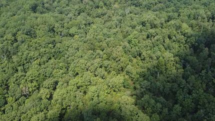 Farm Property in Wayne County, Missouri