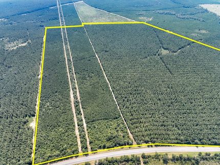 Undeveloped Land for sale in Tyler County, Texas