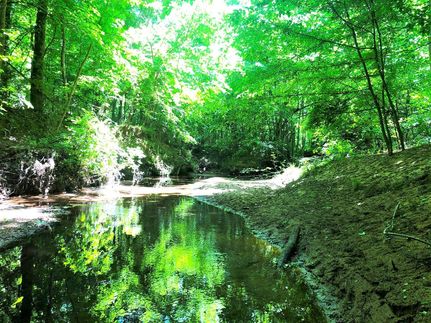 Undeveloped Land for sale in Putnam County, Georgia