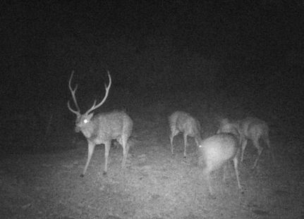 Property for sale in Val Verde County, Texas