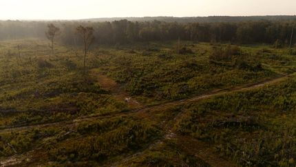 Property for sale in Claiborne Parish, Louisiana