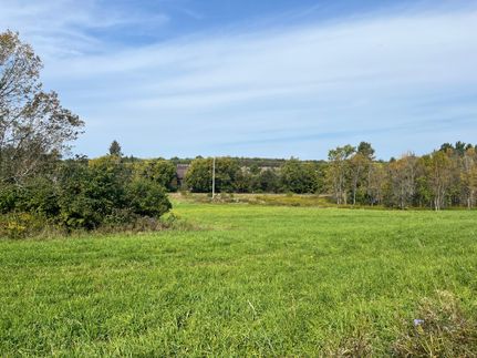 Undeveloped Land for sale in Jefferson County, New York