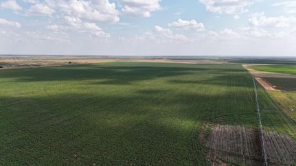 Ranch Property for sale in Gaines County, Texas