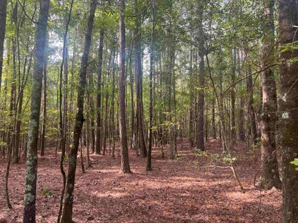 Property for sale in Laurens County, South Carolina
