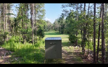 Property for sale in Franklin County, Mississippi