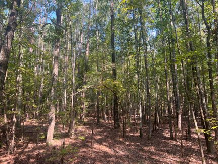 Undeveloped Land for sale in Laurens County, South Carolina